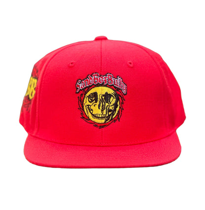 World Records Snapback